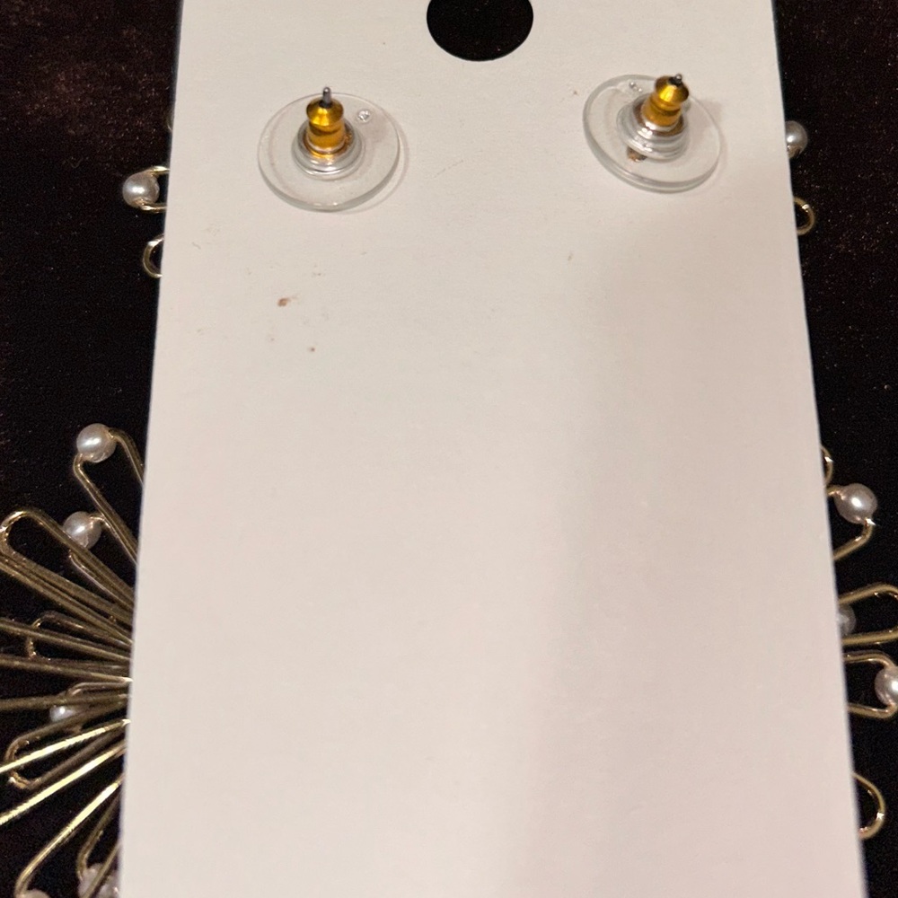 Express Earrings - Picture 5 of 6